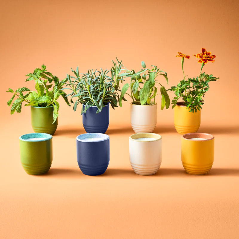 Garden Vibes Seed Planter & Candle: In the Weeds & Mint Seed Packet