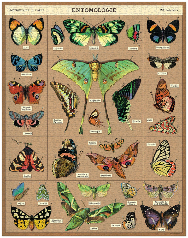 Entomology Vintage Puzzle, 1,000 pieces