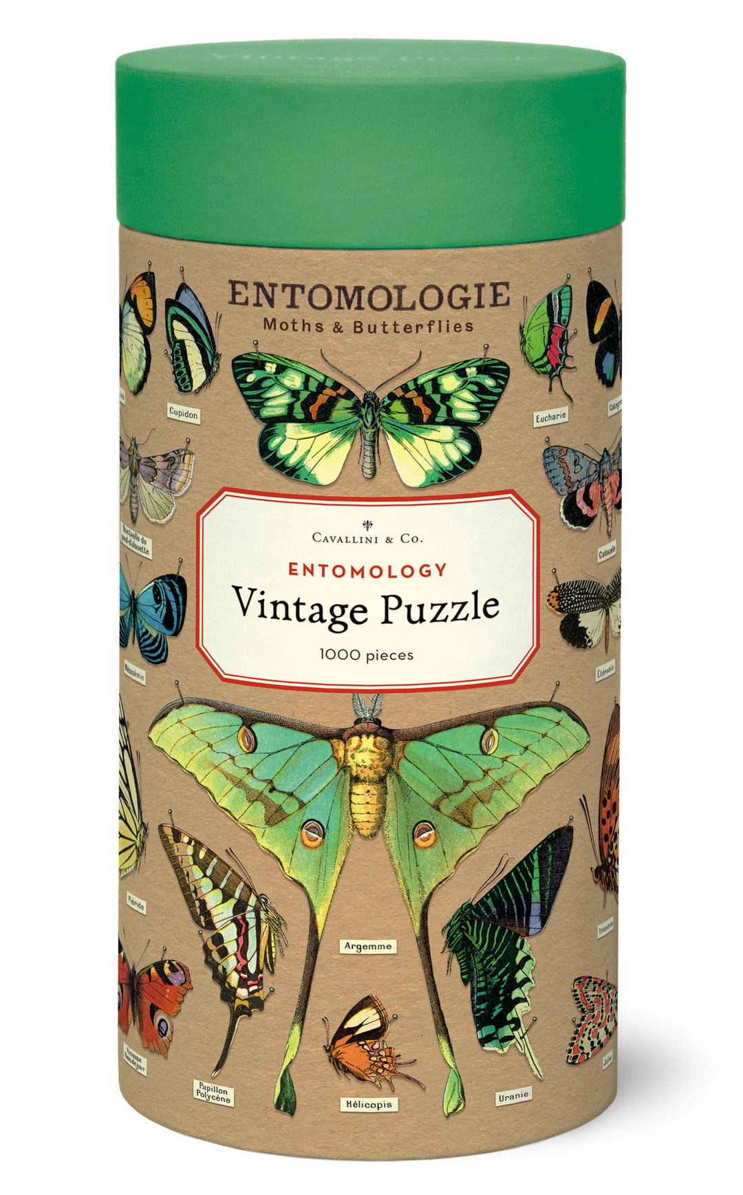 Entomology Vintage Puzzle, 1,000 pieces