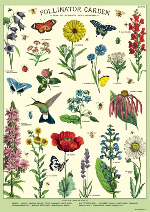 Pollinators Garden: How to Attract Pollinators Vintage Art Poster