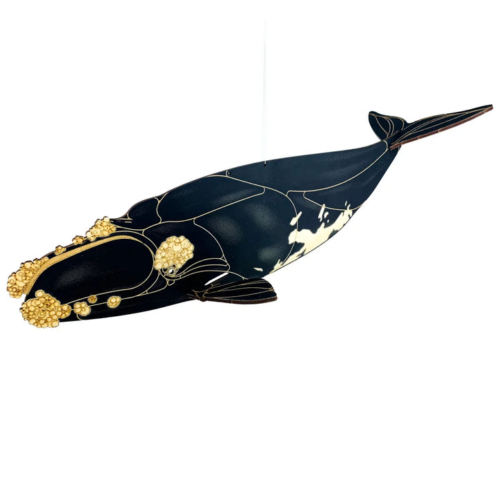 Right Whale Puzzle