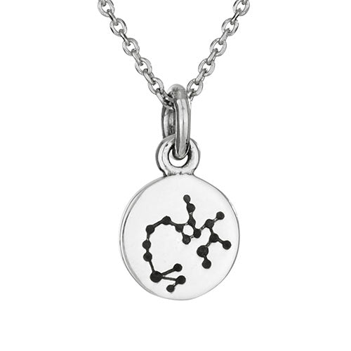 Zodiac Constellation Necklace