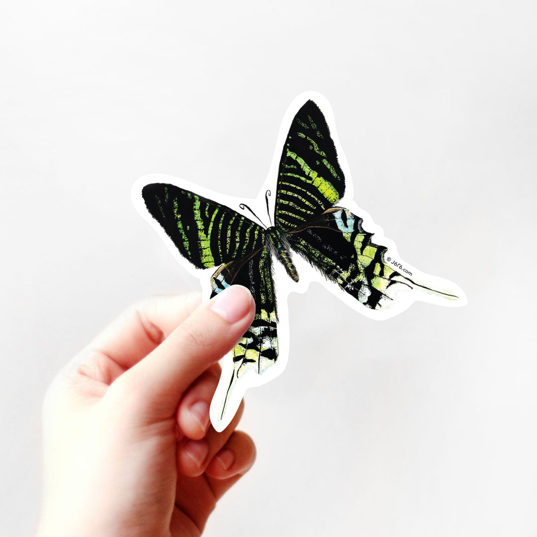 Hand holding a butterfly-shaped sticker against a white background