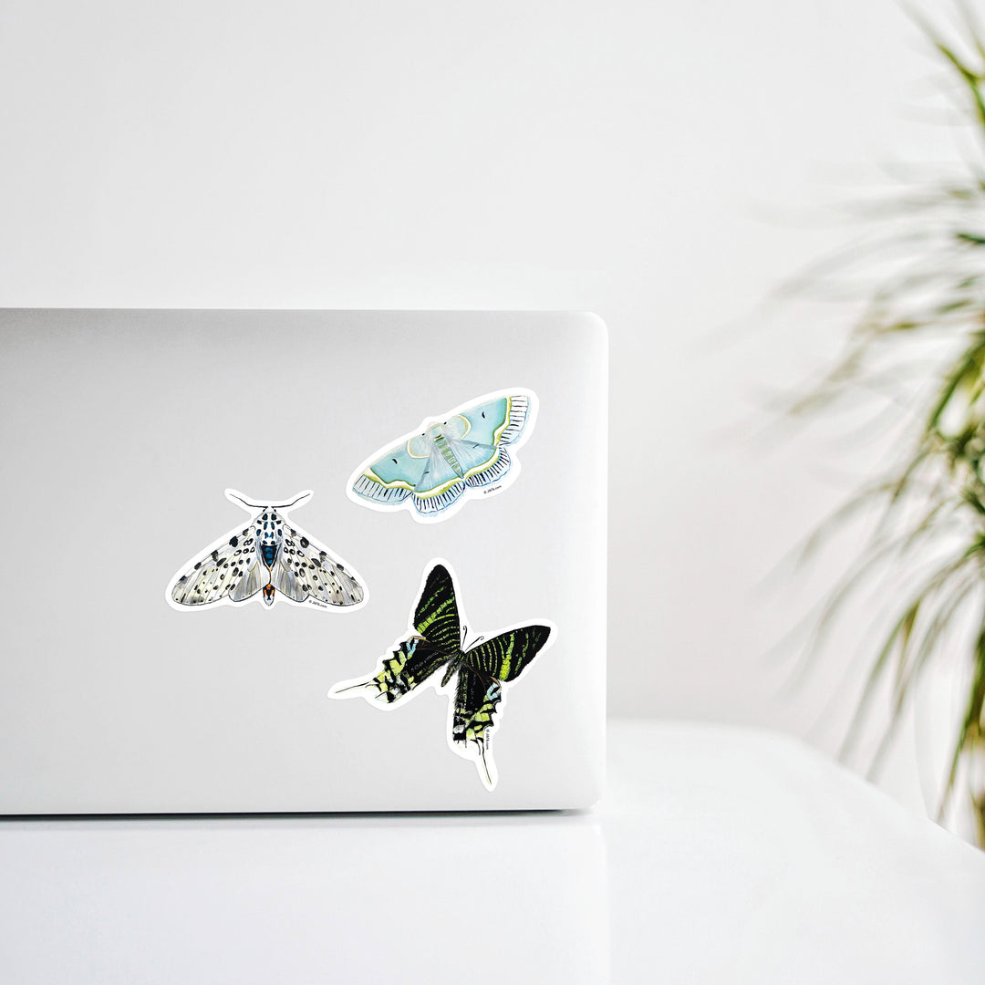 Three butterfly stickers on a laptop with a blurred plant background