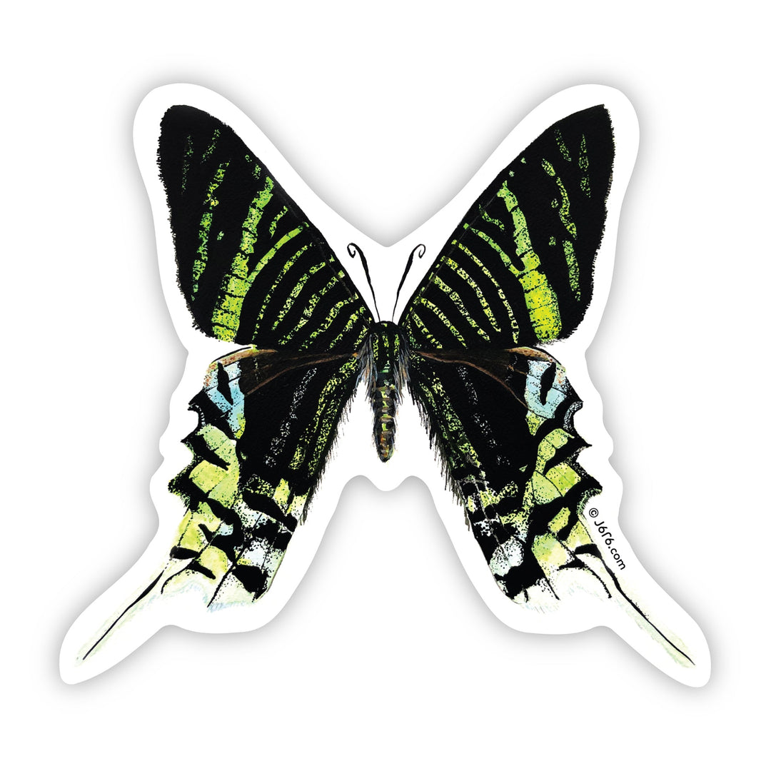 Green Banded Urania Moth Vinyl Sticker Houston Museum Of Natural Science green-banded-urania-moth-vinyl-sticker-houston-museum-of-natural-science