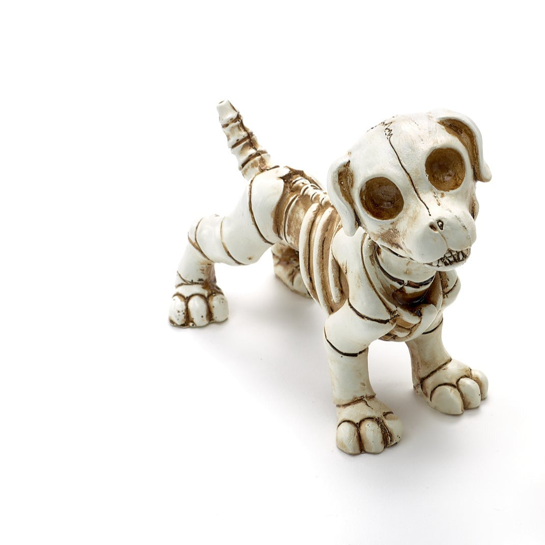 Dog Skeleton Decor