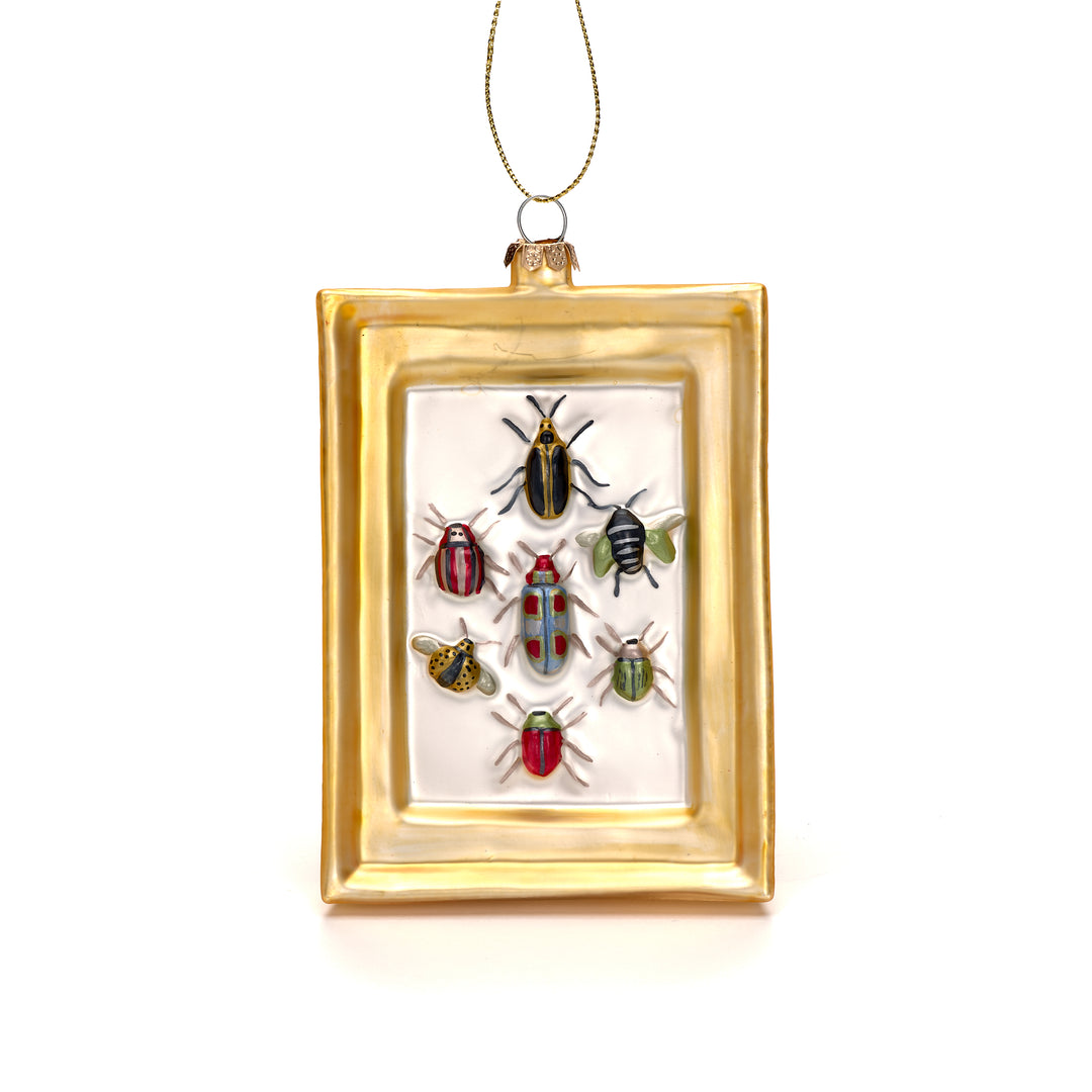 Framed Victorian Beetle Collection Ornament