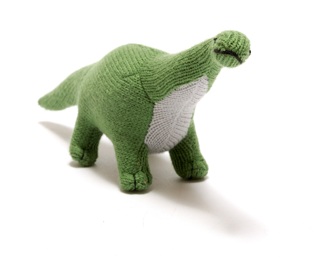 Knitted Titansaur Rattle Toy