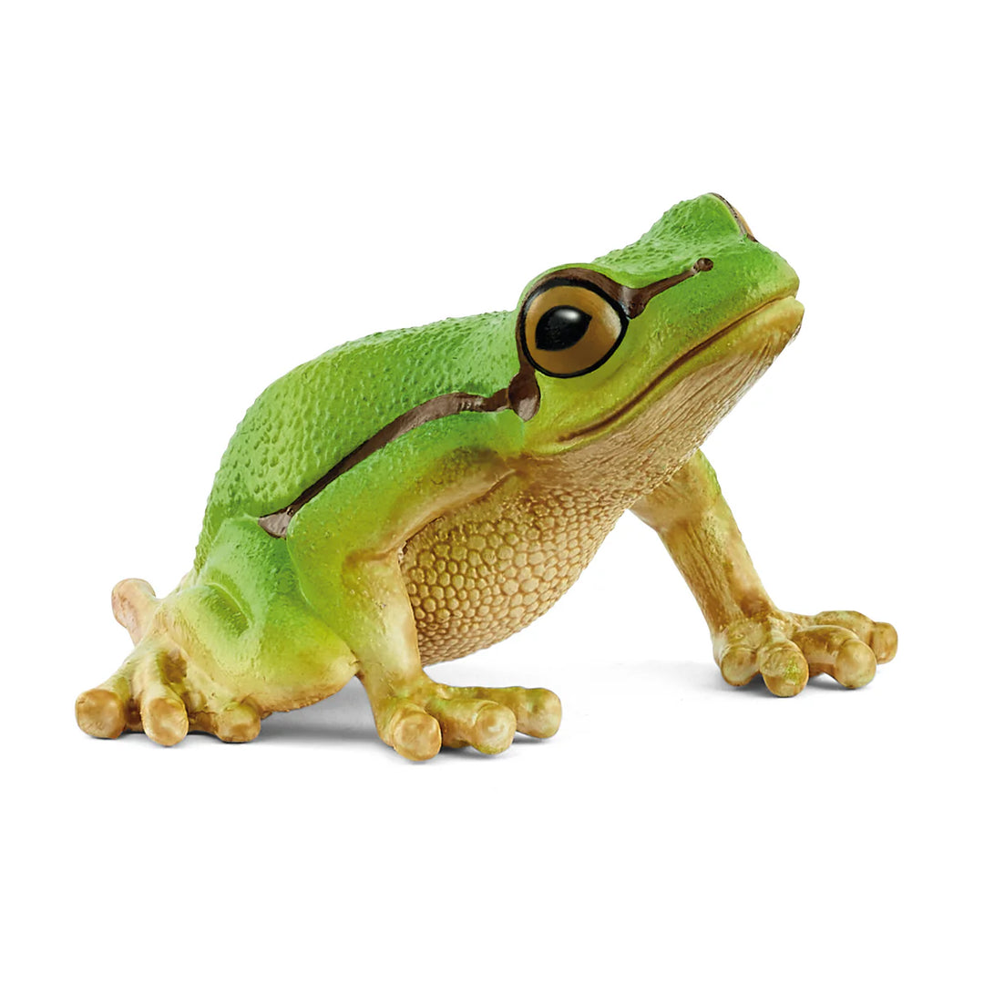 Tree Frog Replica Toy