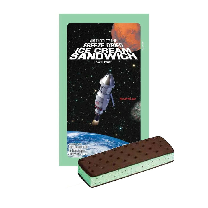 Astronaut Ice Cream- Mint Chocolate Chip Sandwich