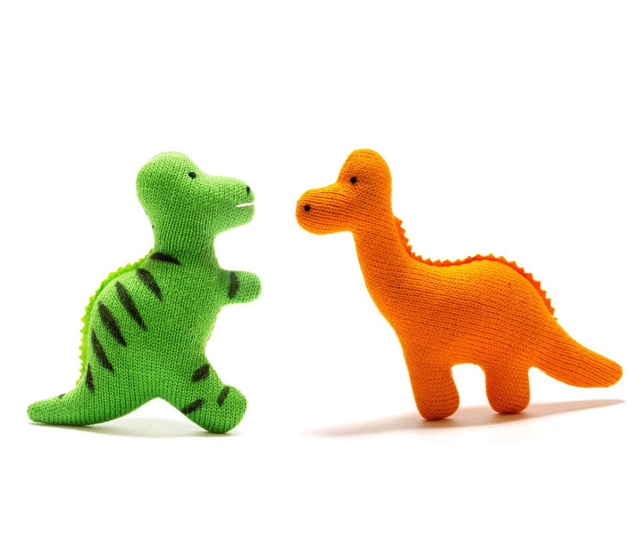 Baby T. rex Dinosaur Sensory Toy