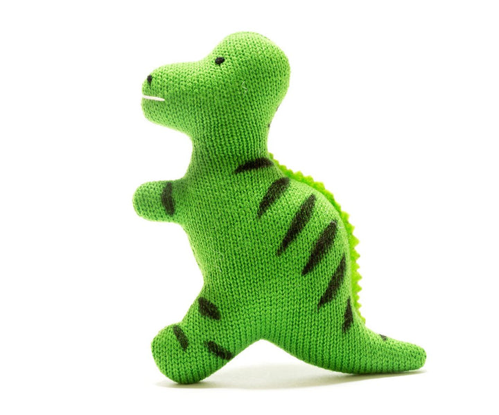 Baby T. rex Dinosaur Sensory Toy