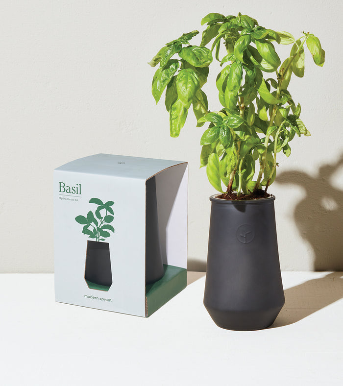 Basil Tapered Tumbler Herb Garden