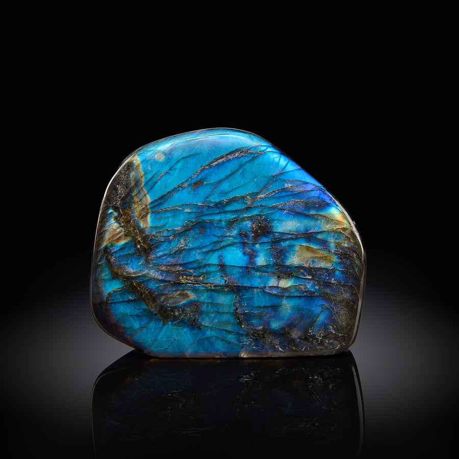 a peacock blue labradorite specimen against a black background