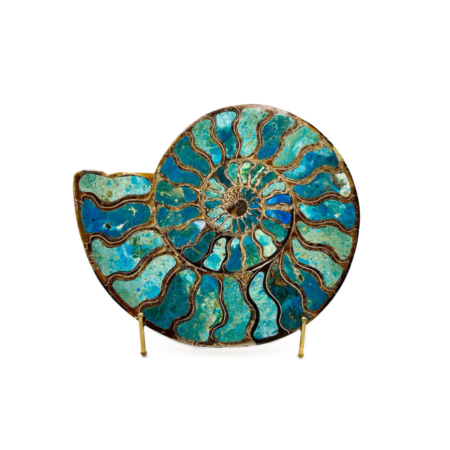 an ammonite fossil slice with its chambers inlayed with various shades of blue Peruvian opal  on a gold wire base, against a white background