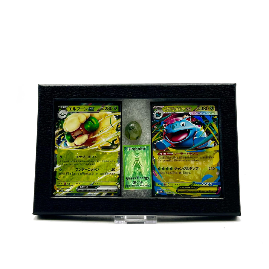 Two trading cards in a display case with a white background