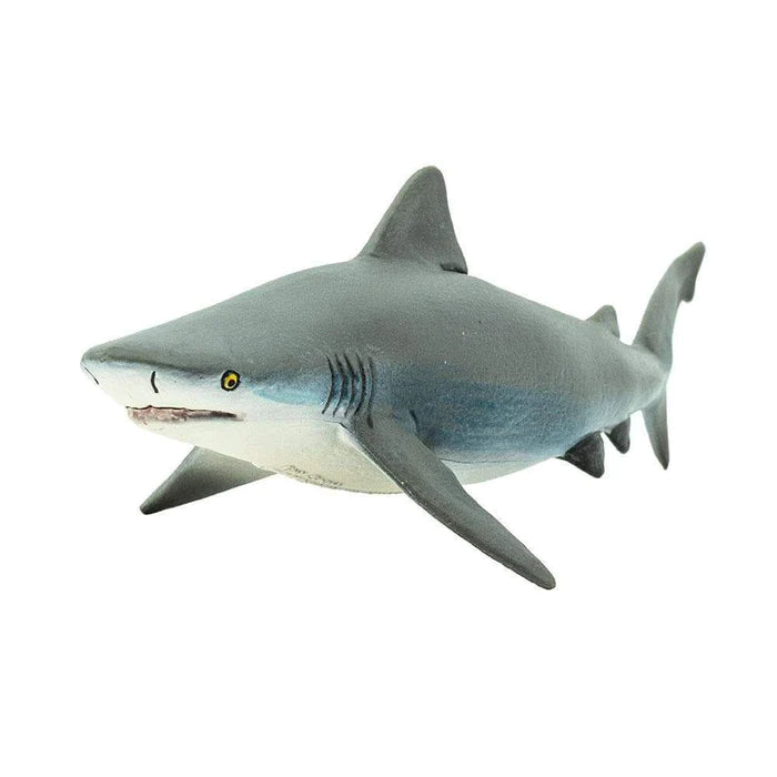 Bull Shark