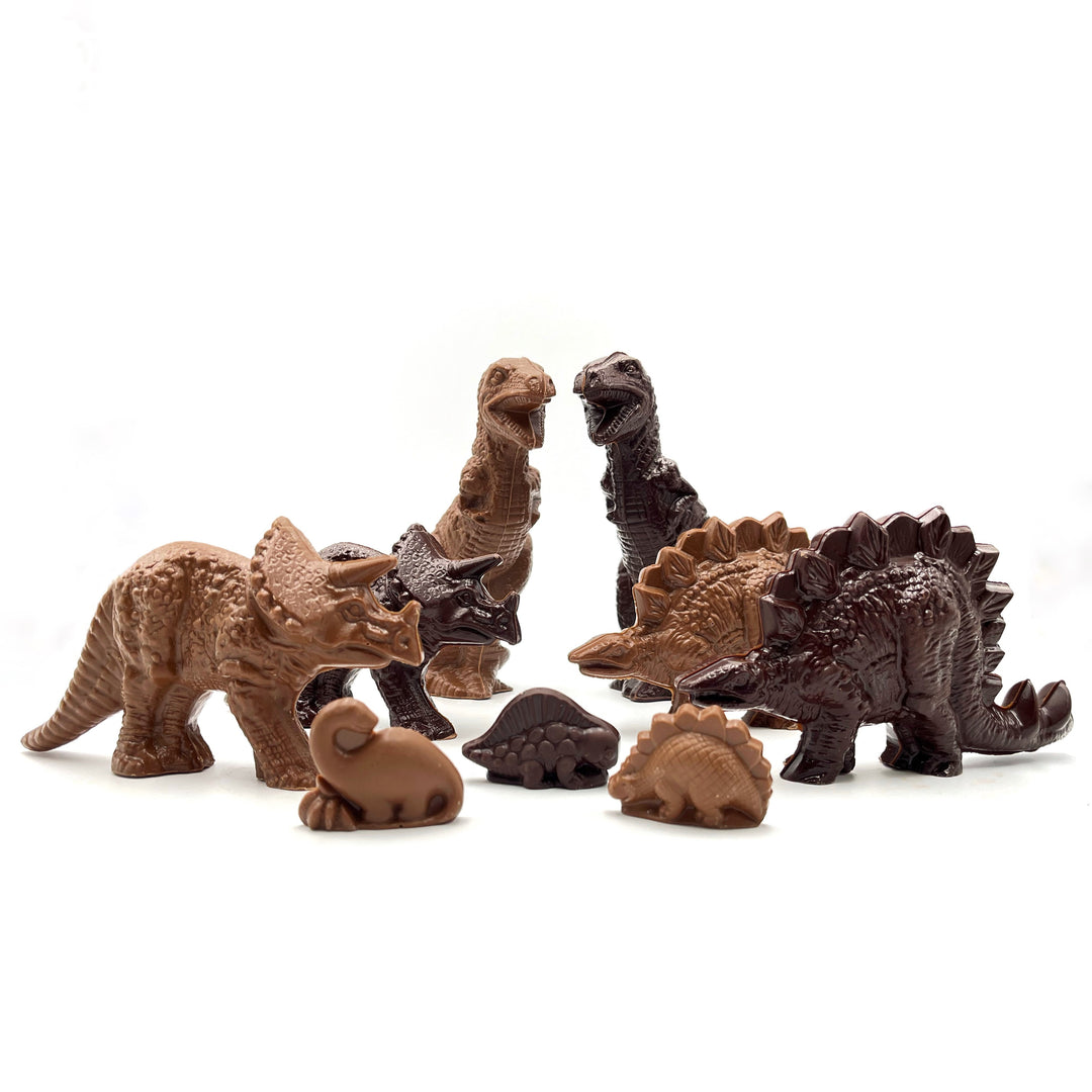 HMNS Mini Dinosaur Chocolates, Six Piece Mixed Set