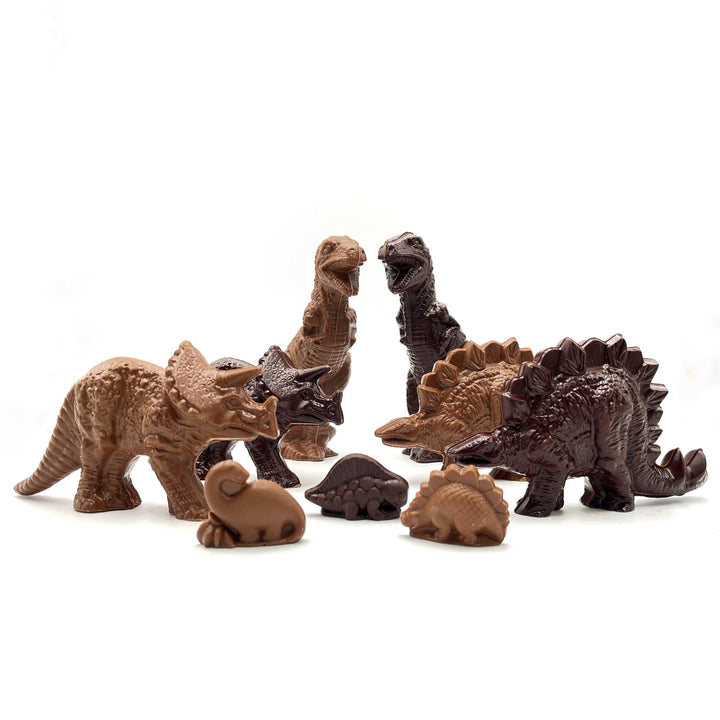 HMNS Mini Dinosaur Chocolates, Six Piece Mixed Set