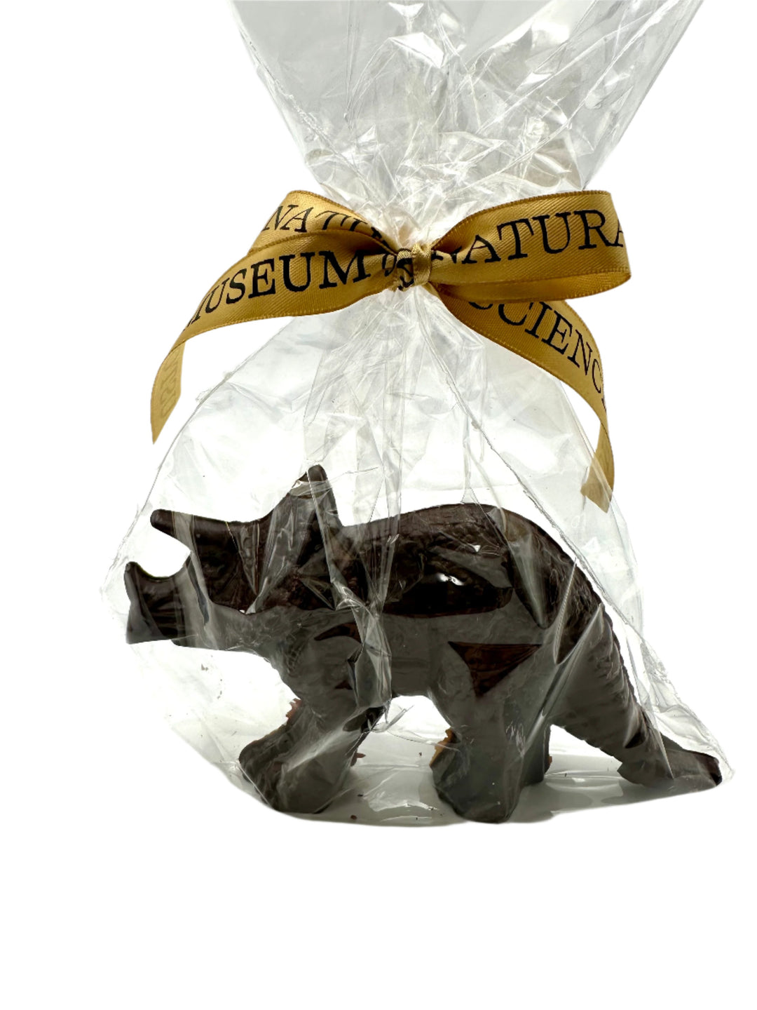 HMNS Triceratops Chocolate- Large