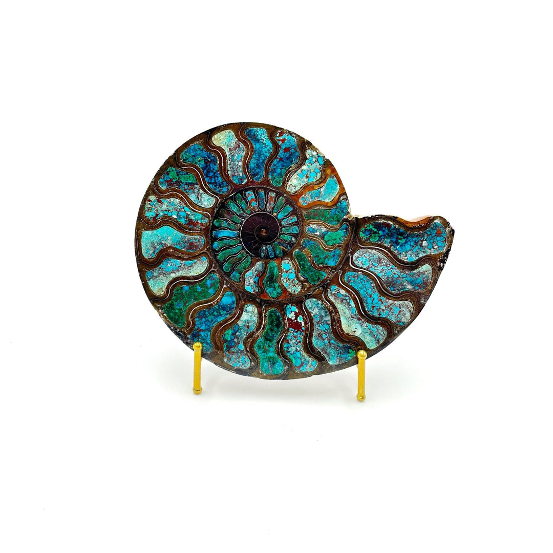 Ammonite with Chrysocolla Inlay, 16.5cm