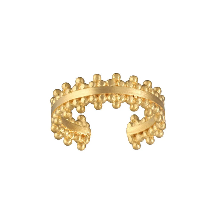 Delicate Ornate Ear Cuff