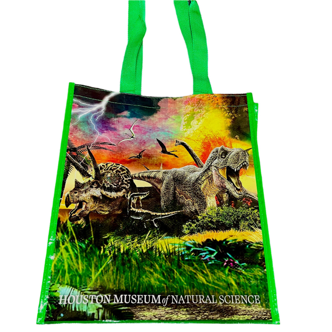 HMNS Recycled Tote Bag