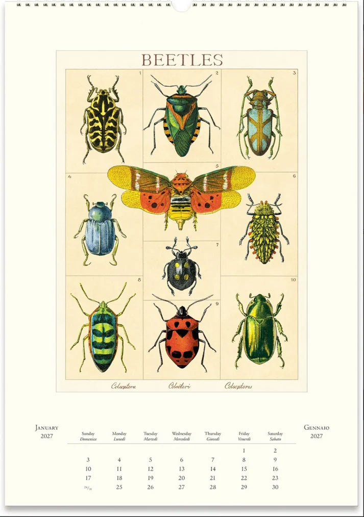 2027 Entomology Wall Calendar