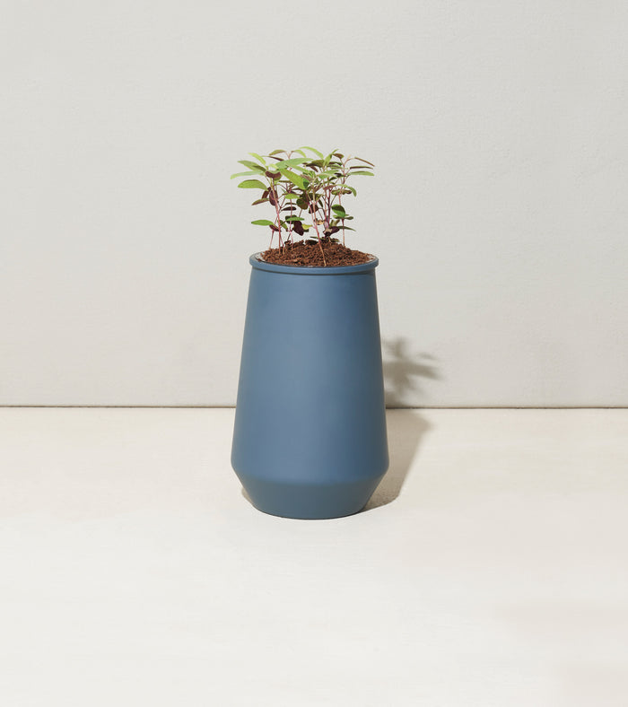 Eucalyptus Tapered Tumbler Garden