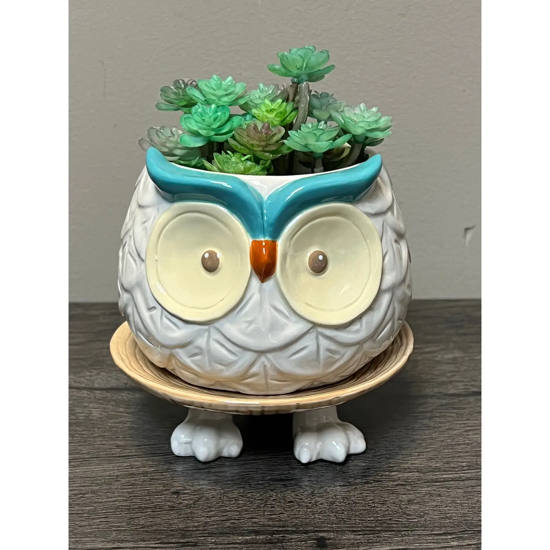 Footsie Planter- Hoots the Owl