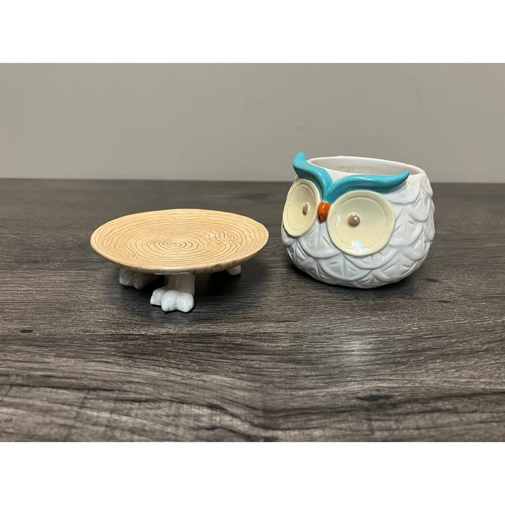 Footsie Planter- Hoots the Owl
