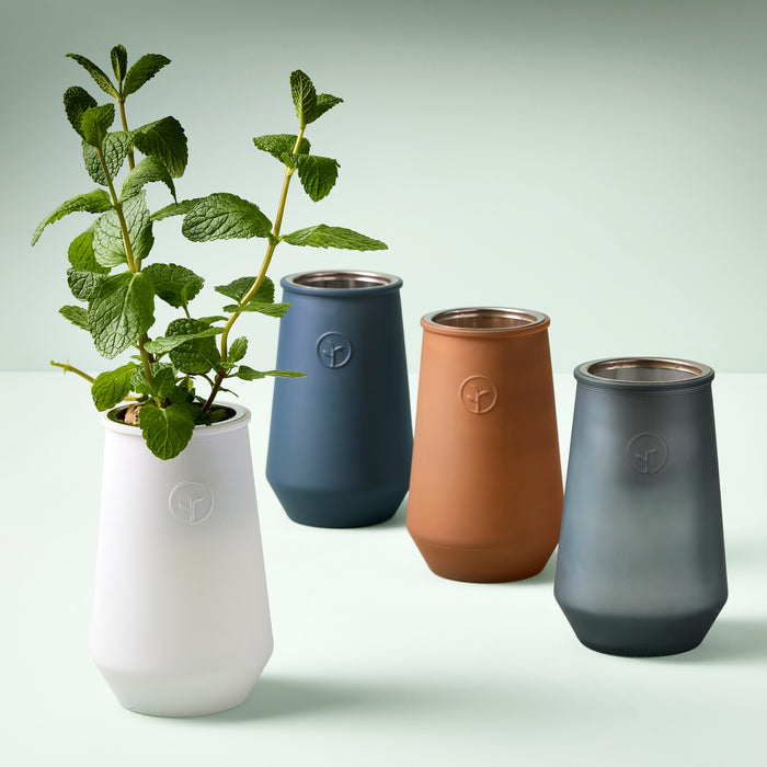 Mint Tapered Tumbler Herb Garden