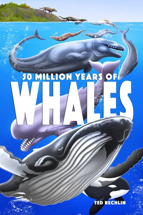 50 Million Years of Whales