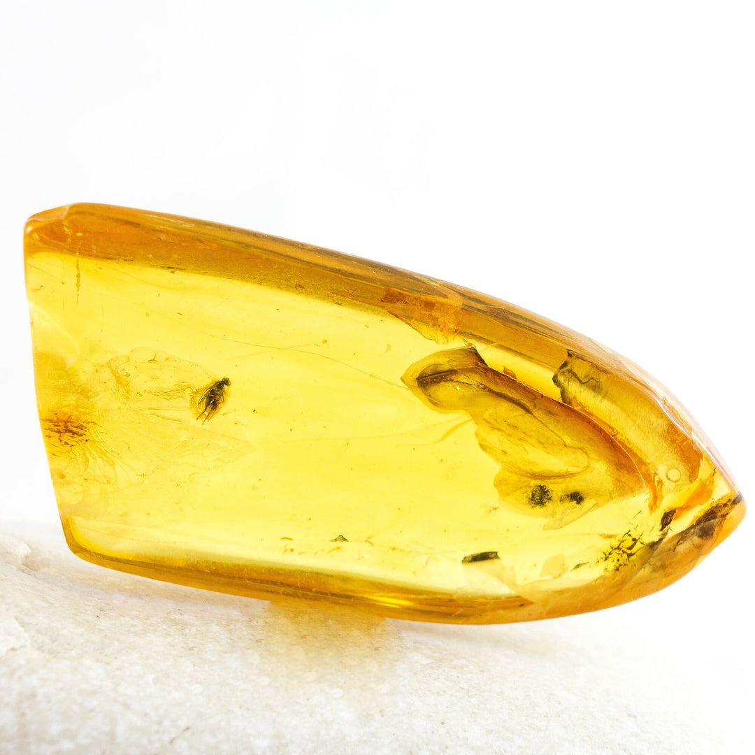 High Quality Amber with Insect Inclusions