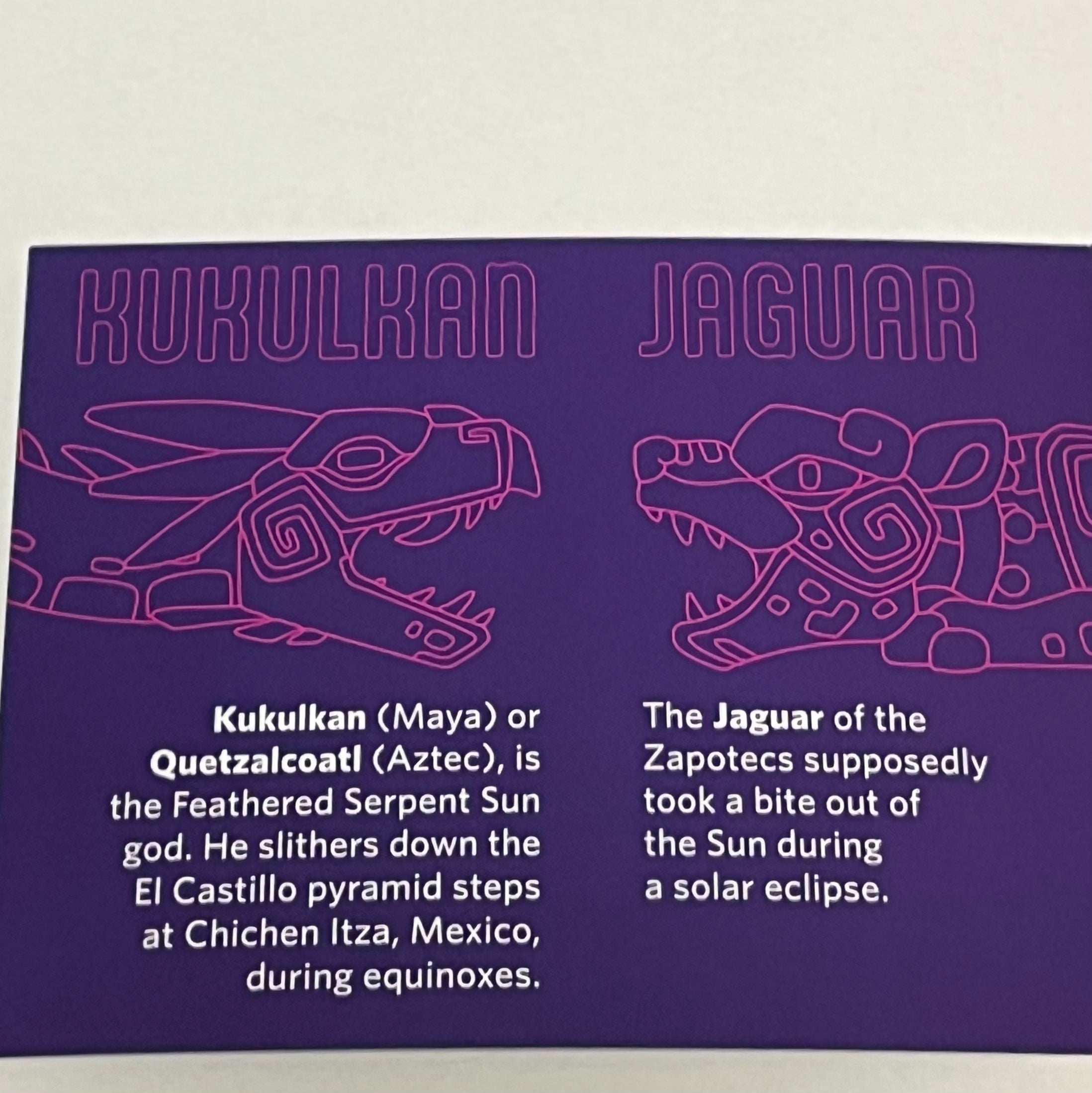 HMNS Plastic Eclipse Glasses & Booklet