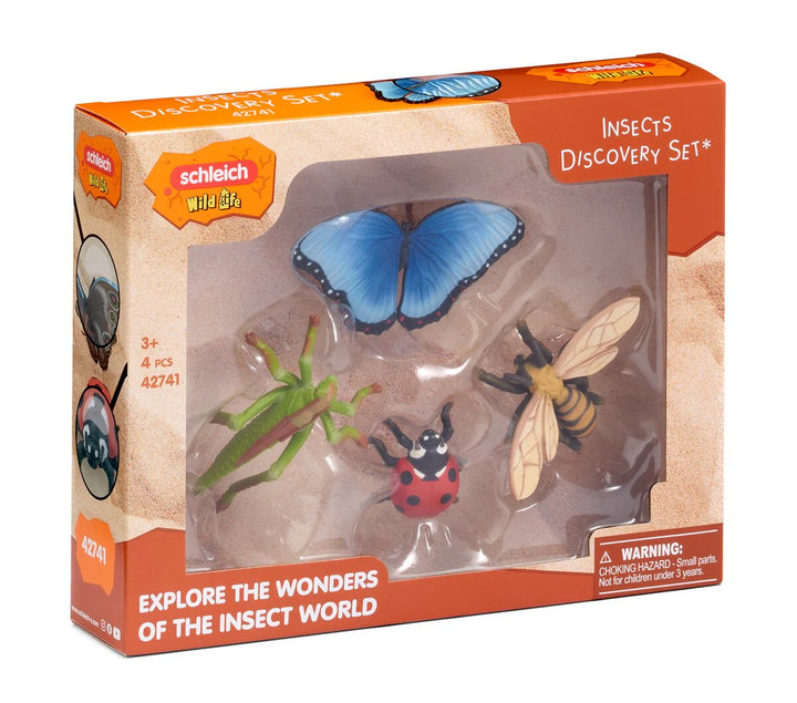 Insect Discovery Set
