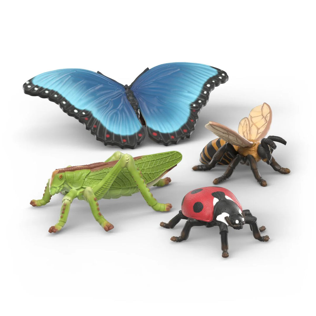 Insect Discovery Set