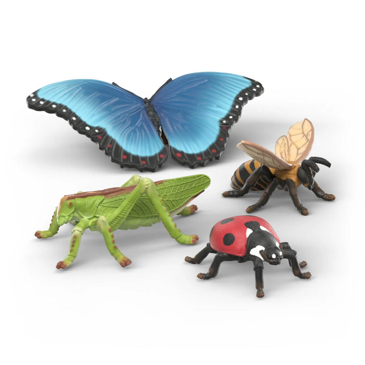 Insect Discovery Set