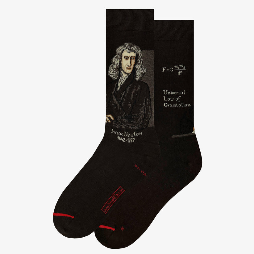 Science & History: Isaac Newton Socks