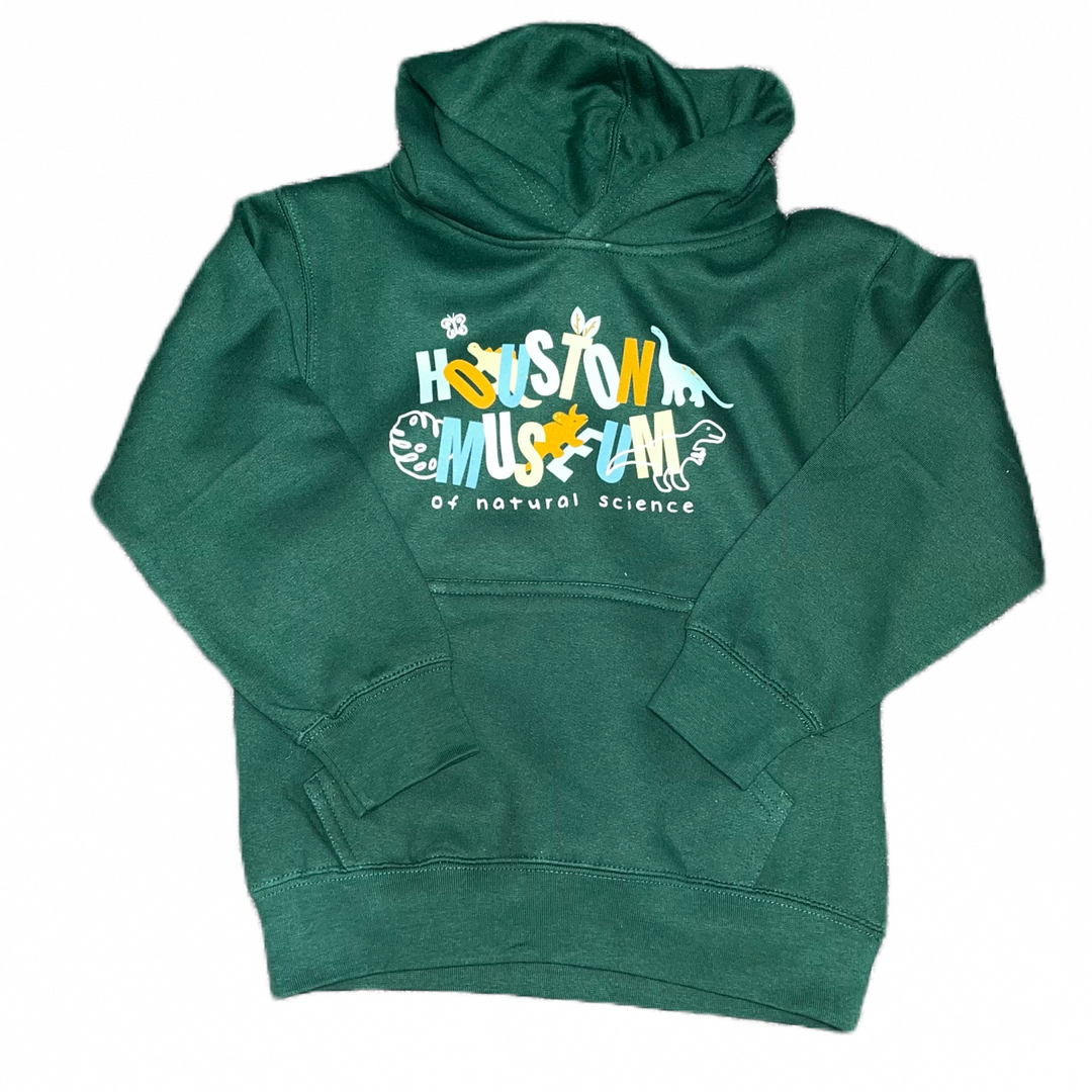 Jungle Gym Dino Youth Hoodie