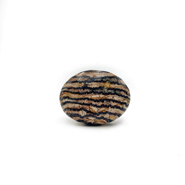 Polished Mammoth Tooth Fossil