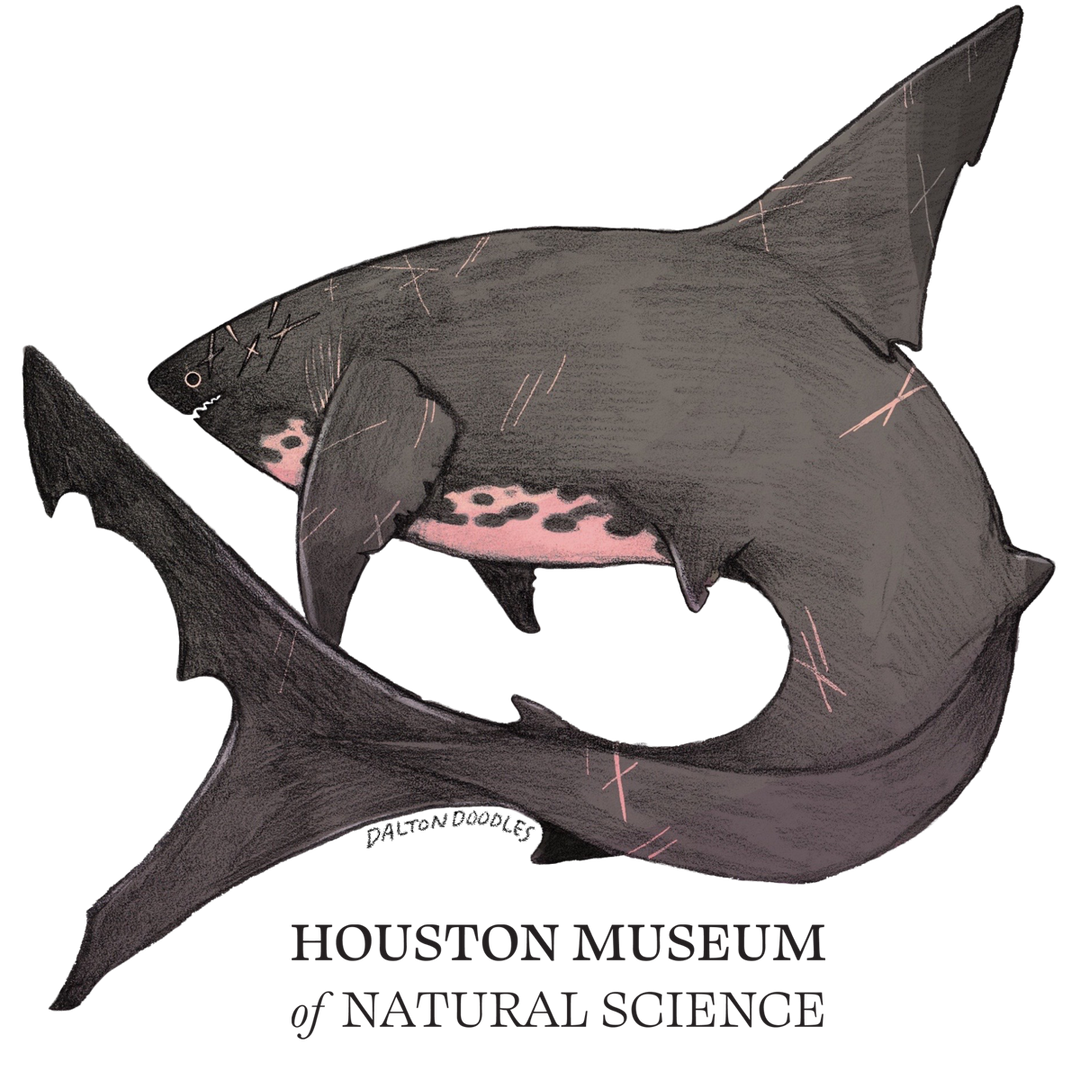 Megalodon Shark HMNS Sticker