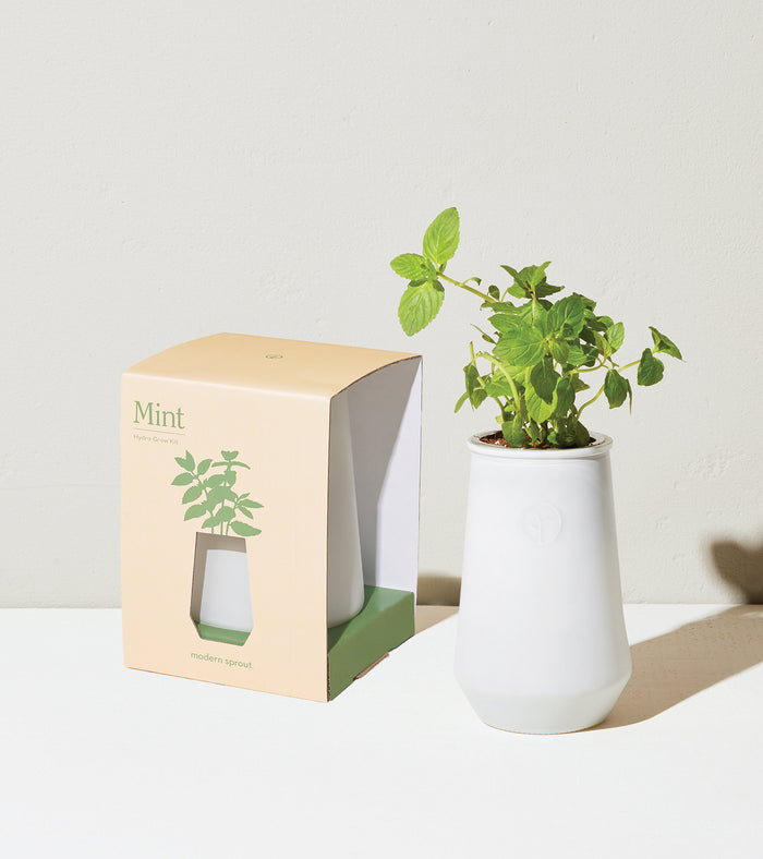 Mint Tapered Tumbler Herb Garden