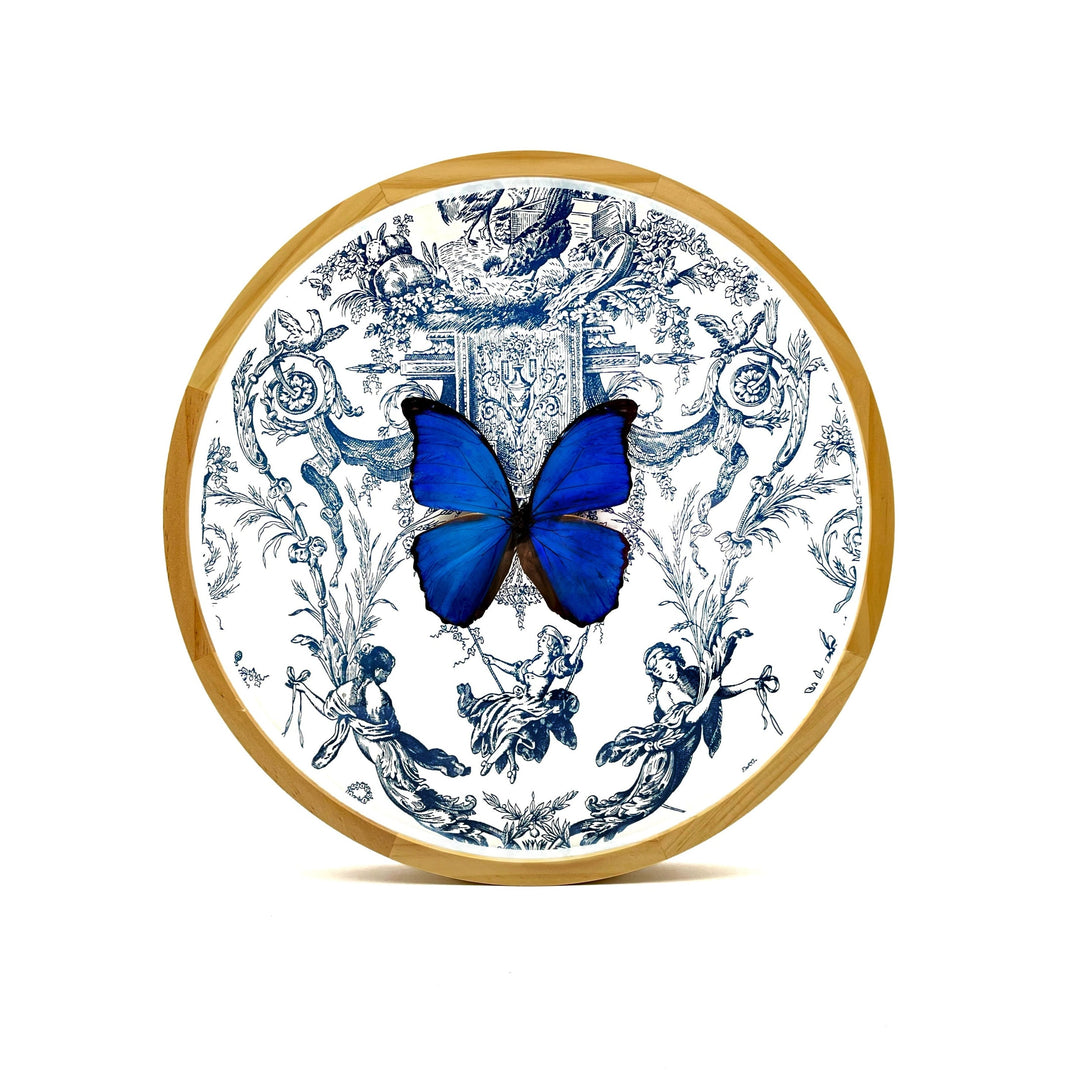 blue morpho real butterfly shadowbox round frame blue illustration on white