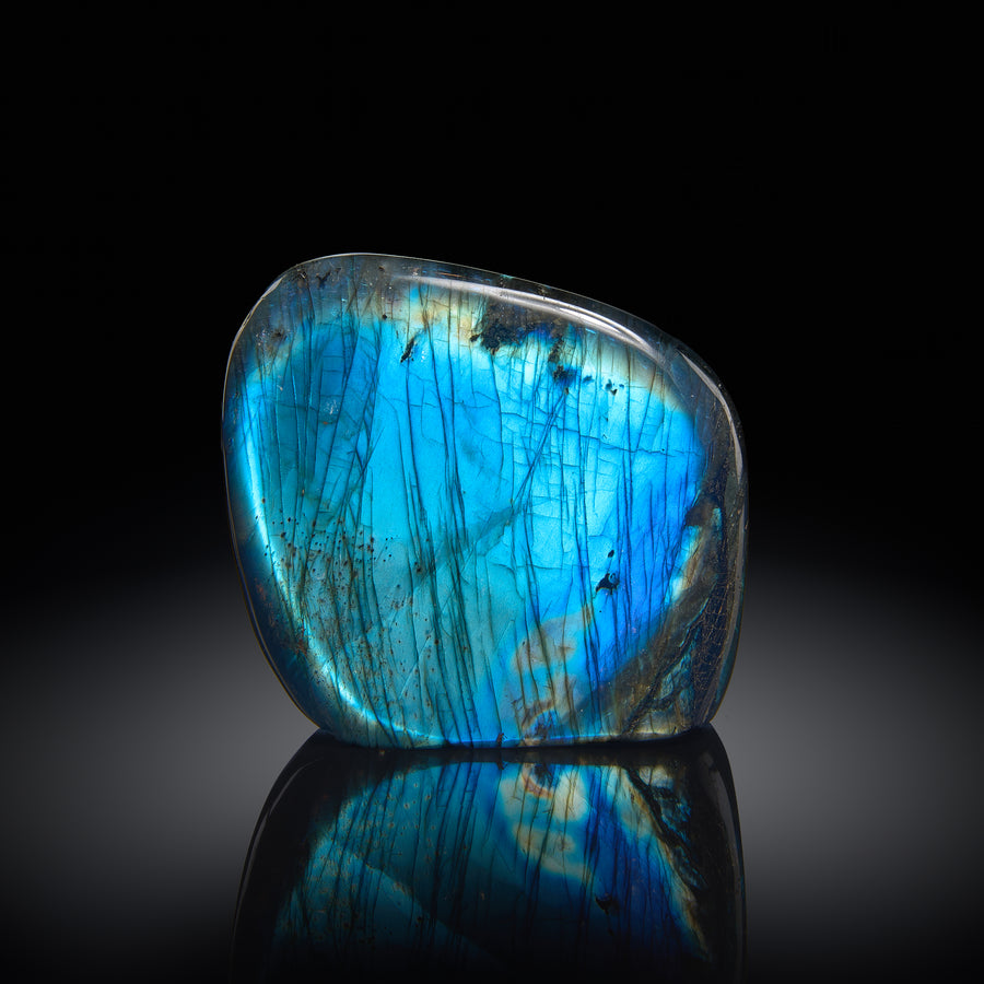 a peacock blue labradorite specimen against a black background