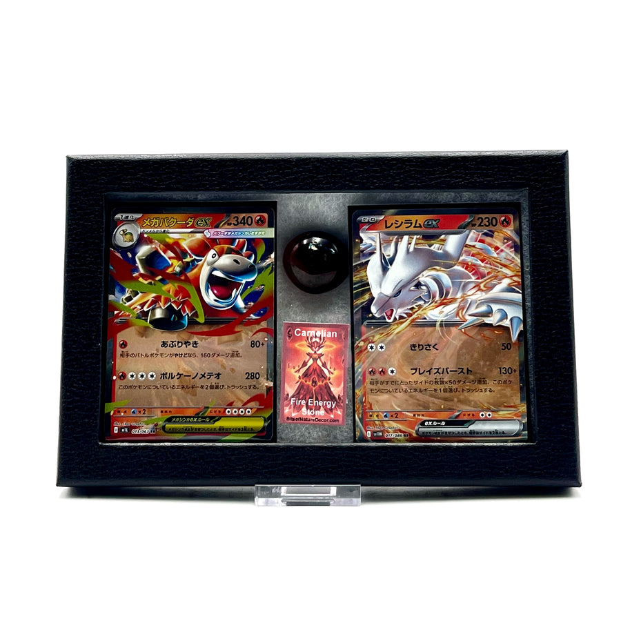 Collection of Camerupt and Reshiram pokemon trading cards in a display case with a white background