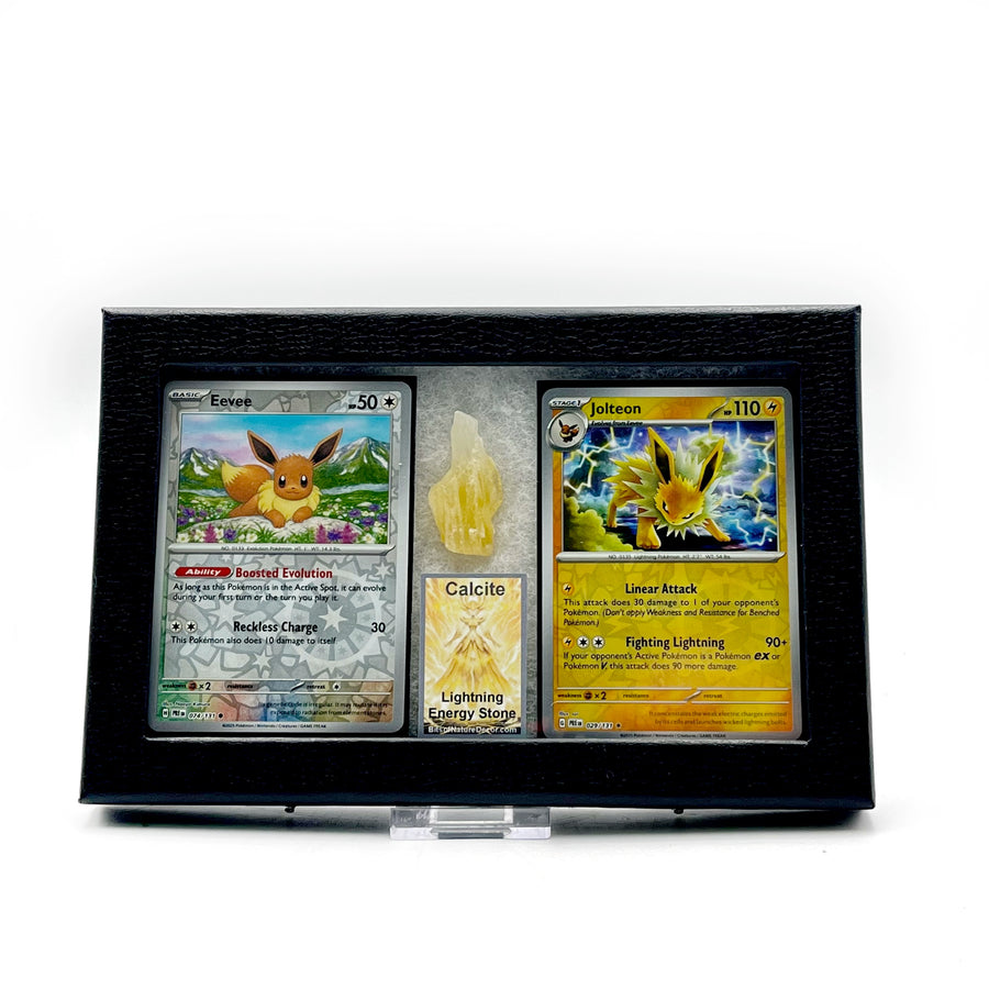 Pokémon trading cards in a display case with Eevee and Jolteon cards.