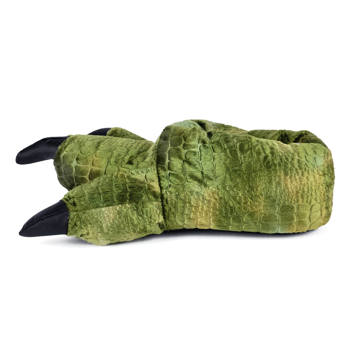 Green Dinosaur Feet Slippers, Small