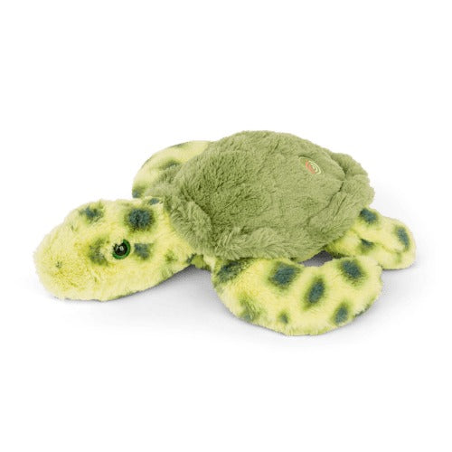 A green sea turtle plush on a white background