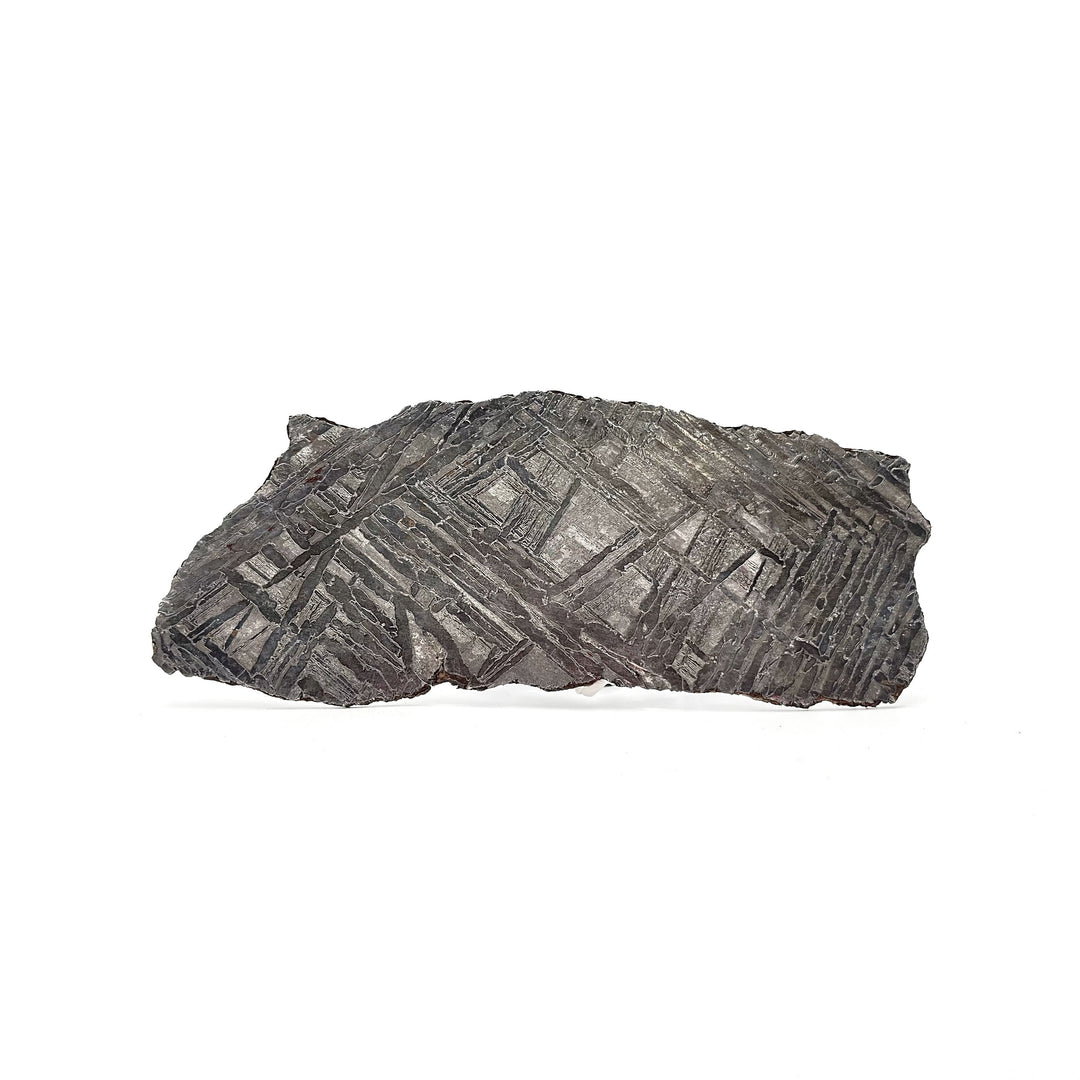 Seymchan Meteorite